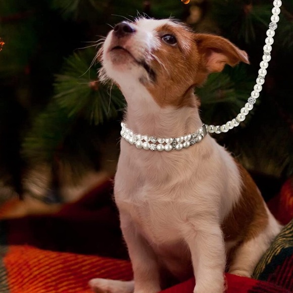Artificial Pearl Collar with Two Row Pearl and Crystal Rhinestone for Do… - Picture 5 of 6